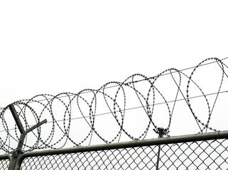 Freedom concept using : Symbol of  Barbed wire wall is symbol of freedom, white background. Copy space