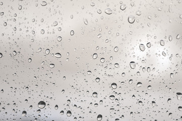 Drops of rain on the window