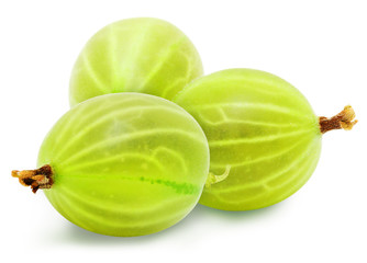Three fresh ripe green gooseberry berries isolated on white background. Design element for product label, catalog print, web use.