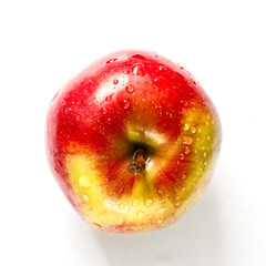 one red apple top view.