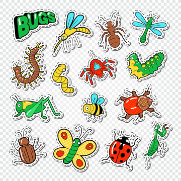 Bugs and Insects Stickers, Badges and Patches with Bee, Ladybug and Ant. Vector illustration