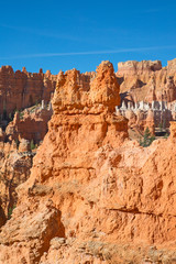 Fototapeta premium Bryce canyon