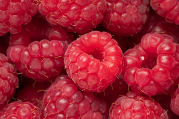 Rote rohe Himbeeren als Nahaufnahme