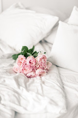 Pion-shaped Pink Roses lie on White Sheets. Morning Mood