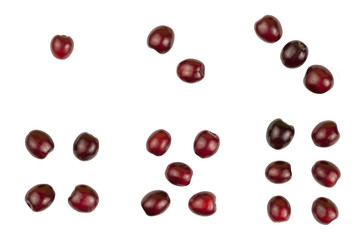 Numerals set with red cherries isolated on white background