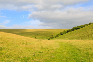 South Downs Landscape
