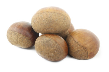 chestnuts isolated on white background