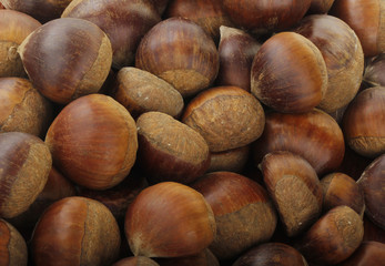 chestnuts background