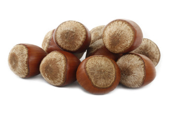 hazelnut isolated
