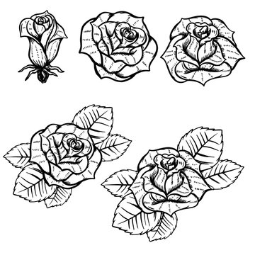 Set of old school tattoo style roses isolated on white background. Design elements for poster, postcard, t-shirt. Vector illustration