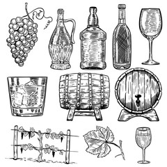 Wine. Set of wine bottles, grape, glass, wood barrels. Design elements for poster, menu. Vector illustration