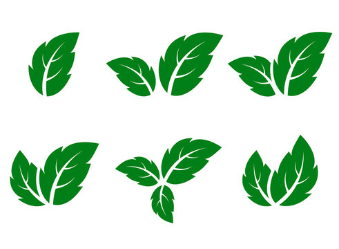 green leaf icons set