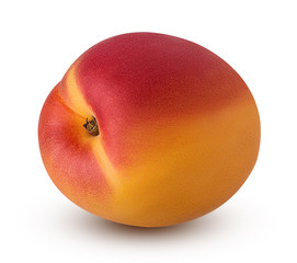 Fresh ripe apricot