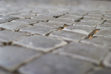 Stone Texture 