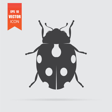 Ladybug icon in flat style isolated on grey background.