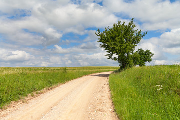 Gravel road in latvian countryside.