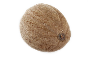 nutmeg isolated