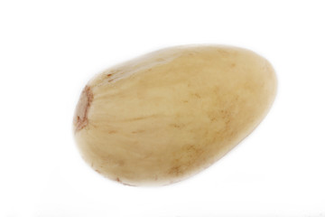 pistachio isolated