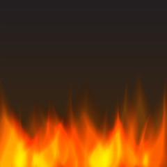 abstract vector fire background