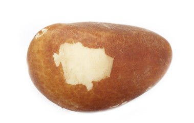 brazil nut isolated