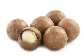 Macadamia nut isolated