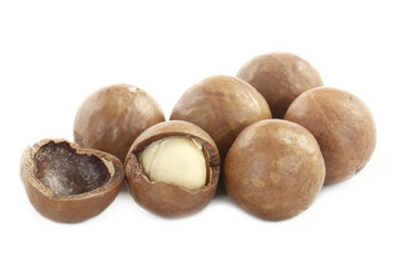Macadamia nut isolated