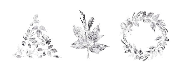 Original nature print