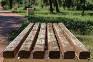 Wooden bench in the park
