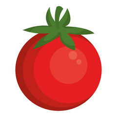 tomato fresh isolated icon vector illustration design