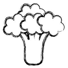 broccoli fresh isolated icon vector illustration design
