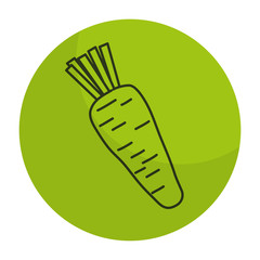carrot fresh isolated icon vector illustration design