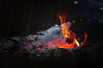 Firewood Ember