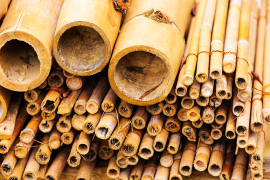 Bambusrohre
