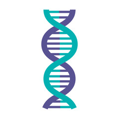 dna molecule isolated icon vector illustration design