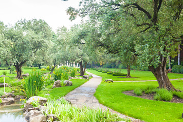 City park. Panorama of a beautiful park