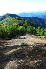 Fototapeta na wymiar 雲取山の登山道