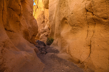 In der Schlucht von Cullebrillas