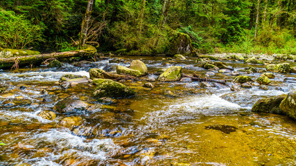Rocks, trees and boulders in the Salmon habitat of the fast flowing Kanaka Creek in Kanaka Creek Regional Park near the town of Maple Ridge in British Columbia, Canada