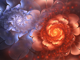Colorful fractal flowers, digital artwork for creative graphic design - 163652071