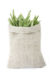 rosemary in sack isolated