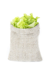 green lettuce in sack isolated