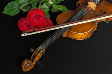 Fototapeta premium Violin and rose on black background.