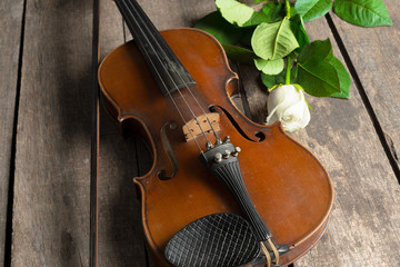 Fototapeta na wymiar Beautiful violin