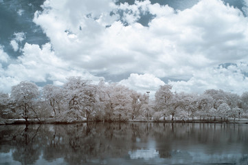 Infrared photography (color), Vachirabenjatas Park, land mark of Bangkok, Thailand.