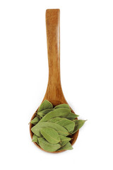 laurel (bay leaves) in wooden spoon isolated