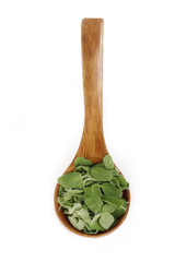 oregano in wooden spoon isolated
