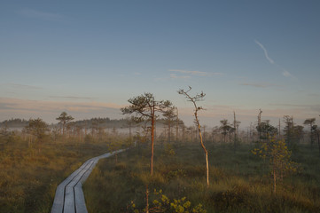 Obraz premium Sunrise Bog