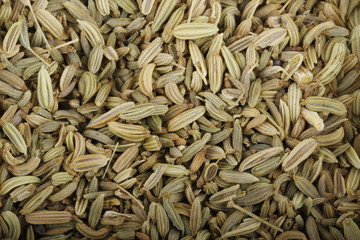 seeds of fennel background