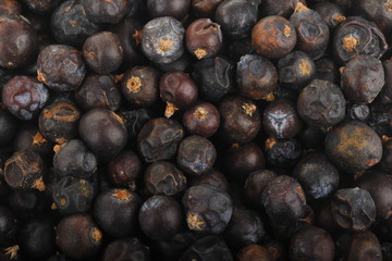 juniper berries background