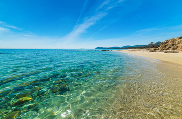 Blue sea in Santa Giusta shore